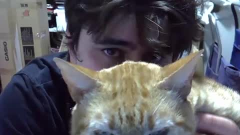 Snapshot of idkwhattowatch chatting on 12-24-24, 12:33 idkwhattowatch online show from 12-24-24, 12:33