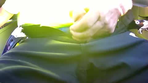 Snapshot of iflash4u chatting on 06-12-26, 02:49 iflash4u online show from 06-12-26, 02:49