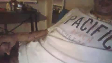 Snapshot of ilovecolombianas69 chatting on 03-24-26, 05:23 ilovecolombianas69 online show from 03-24-26, 05:23