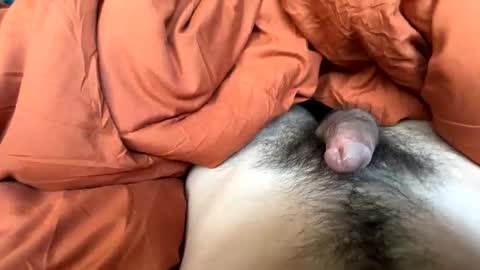 imakeucumonmyface online show from 02-25-26, 09:24