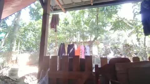 Immaculate02 online show from 02-01-25, 04:46