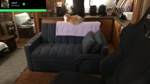 Carter online show from 02-05-26, 04:39