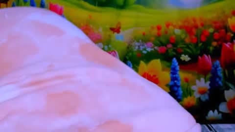 indianroxy27 online show from 07-13-26, 04:10