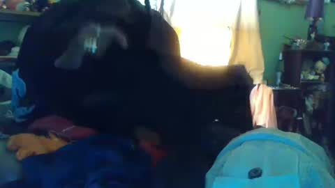 indigo_scorpio online show from 10-13-25, 10:10