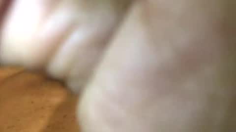 InternationalGodFather online show from 01-27-25, 03:18