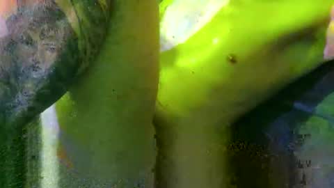 Marek online show from 03-02-25, 06:08