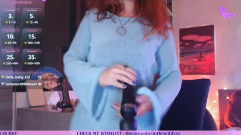 Snapshot of inthewildxxx chatting on 04-29-26, 01:04 Cassie online show from 04-29-26, 01:04
