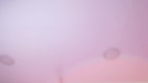 Iirs online show from 02-18-26, 03:02