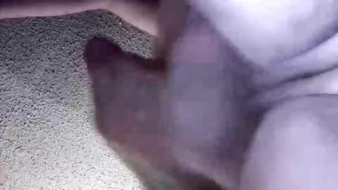 Snapshot of irishmikey87 chatting on 03-30-26, 05:41 McDick online show from 03-30-26, 05:41