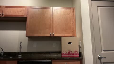 Snapshot of irissweets chatting on 04-10-26, 07:13 irissweets online show from 04-10-26, 07:13