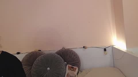    online show from 12-21-24, 12:42