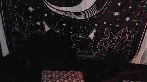    online show from 01-08-25, 01:42