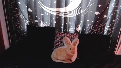    online show from 01-08-25, 07:03