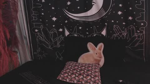    online show from 01-29-25, 11:14