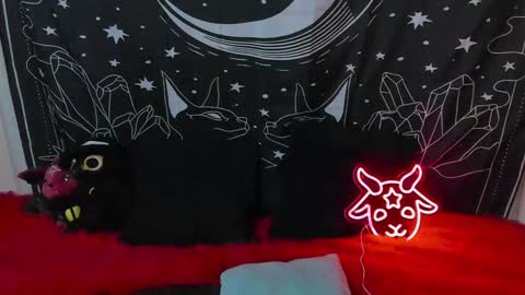    online show from 02-12-25, 12:37