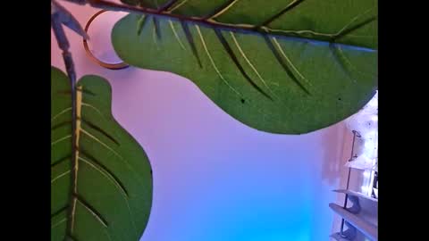 Snapshot of isabellacloverlove chatting on 10-23-25, 05:51 Isabella online show from 10-23-25, 05:51