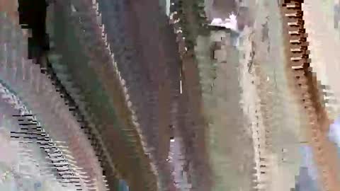 Snapshot of islandbey242 chatting on 06-02-26, 03:14 islandbey242 online show from 06-02-26, 03:14
