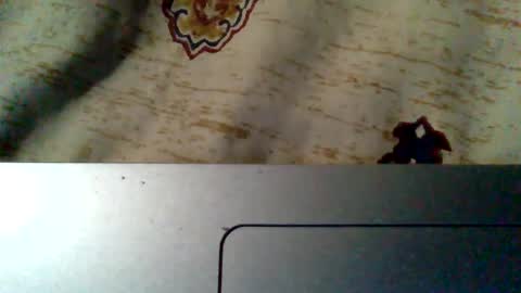 Snapshot of islandmaker chatting on 05-19-26, 07:47 islandmaker online show from 05-19-26, 07:47