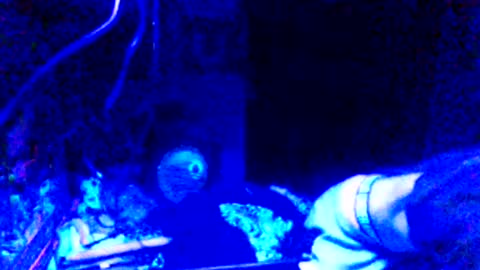 Snapshot of issyamazin667 chatting on 03-25-26, 10:43 Girlnextdoor online show from 03-25-26, 10:43