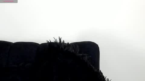 Angelica online show from 04-15-26, 07:58