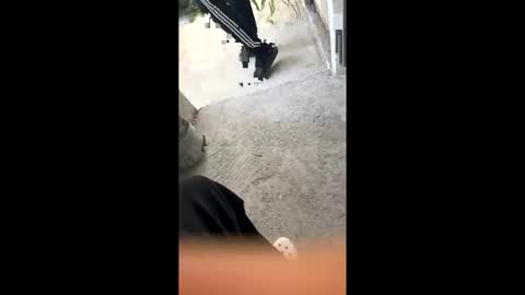 Snapshot of itsjayyourbae chatting on 02-18-26, 11:11 itsjayyourbae online show from 02-18-26, 11:11