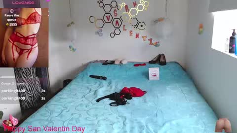 Snapshot of ivana_rose chatting on 02-15-25, 09:15 Adris online show from 02-15-25, 09:15