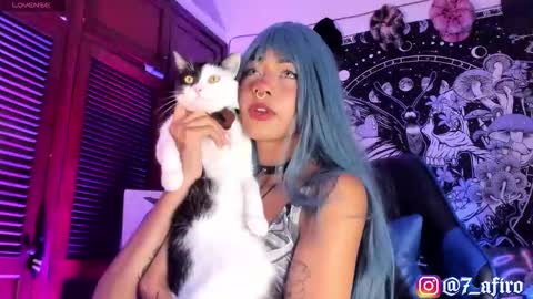   -    online show from 02-12-26, 11:55