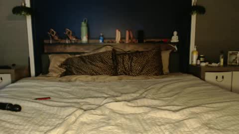 Snapshot of ivydreams chatting on 12-24-24, 03:27 Ivy Dreams online show from 12-24-24, 03:27