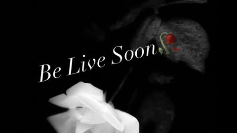 Ivy Rosie online show from 04-06-26, 09:16