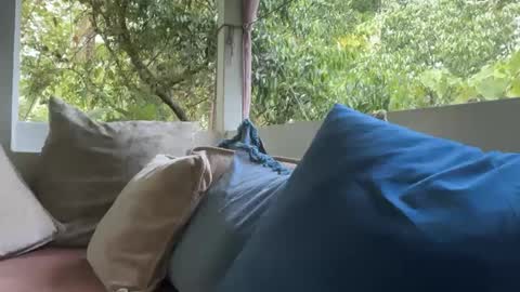 ivysagex online show from 09-12-25, 01:17