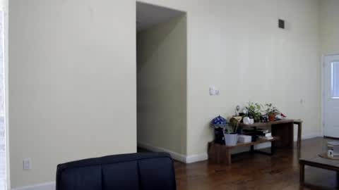 Mugen online show from 04-04-26, 09:23