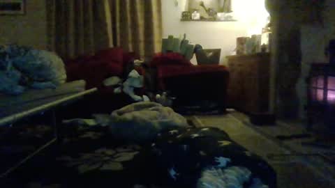 J4ckcock online show from 01-01-25, 12:43