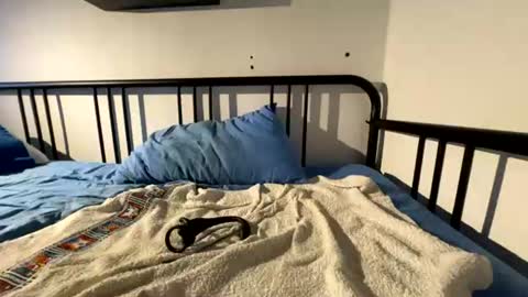 jackedd332481 online show from 07-18-26, 12:15