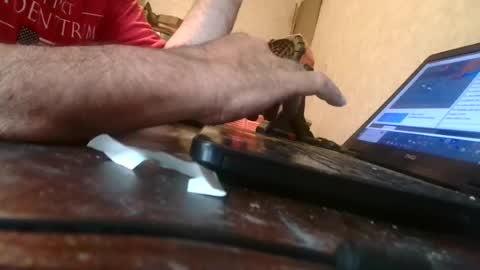Snapshot of jackgow chatting on 07-18-26, 01:04 jackgow online show from 07-18-26, 01:04
