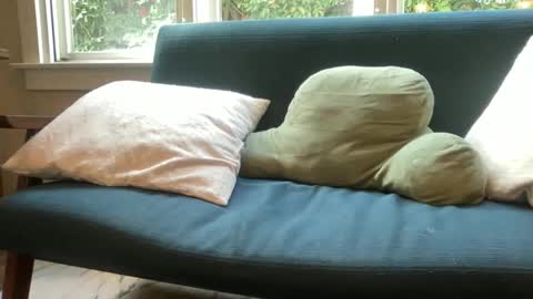 jack online show from 12-14-25, 06:34