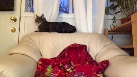 Jacob online show from 02-22-26, 10:52