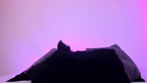 Snapshot of jade_james chatting on 12-20-24, 01:14 Mady online show from 12-20-24, 01:14