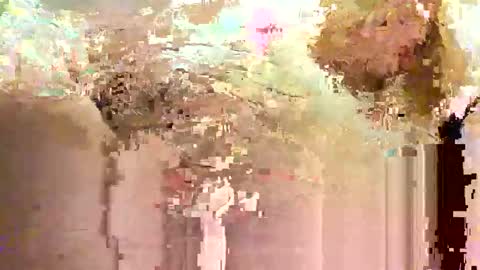 Snapshot of jadedmoshier chatting on 11-28-25, 09:01 jadedmoshier online show from 11-28-25, 09:01