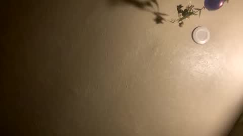 Jason online show from 01-07-26, 02:03