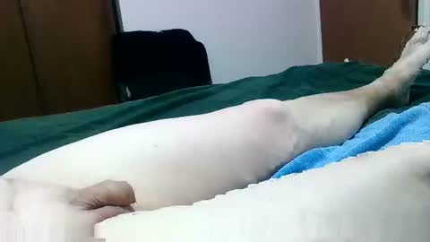 Snapshot of jakscoral chatting on 01-26-25, 09:29 Jaks online show from 01-26-25, 09:29