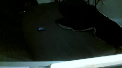 Jamacian online show from 12-14-25, 08:13