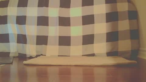 Snapshot of jamesknight57 chatting on 04-13-26, 01:33 James online show from 04-13-26, 01:33