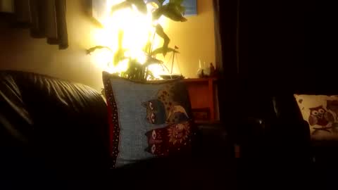 Snapshot of jamesloveridge901 chatting on 10-25-25, 02:24 jamesloveridge901 online show from 10-25-25, 02:24