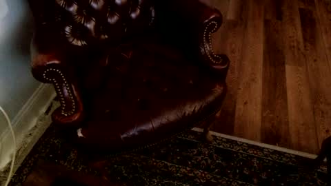 Snapshot of jamespembroke chatting on 07-19-26, 01:53 James Pembroke at your service online show from 07-19-26, 01:53
