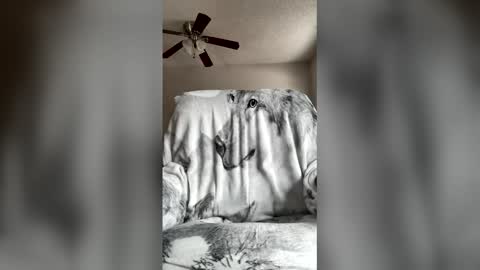 jameswolf777 online show from 04-07-26, 07:03