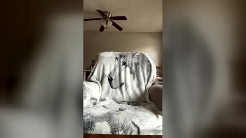 jameswolf777 online show from 05-22-26, 10:26