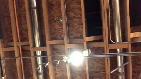 jamie19905 online show from 10-29-25, 02:25