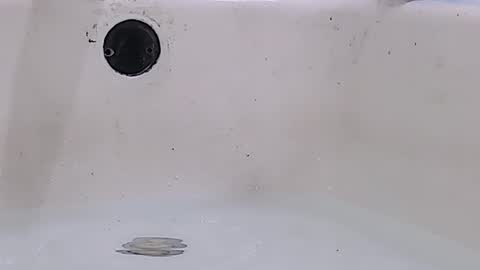 Snapshot of jamwarnerone chatting on 03-16-26, 11:58 Bootyshows online show from 03-16-26, 11:58
