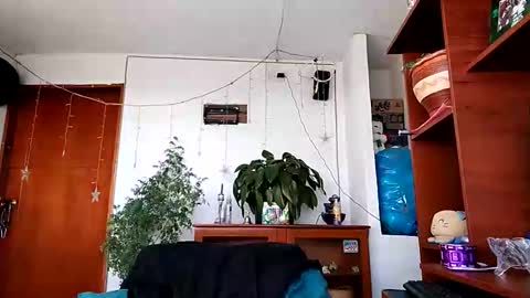 janariivera1 online show from 01-17-26, 07:28