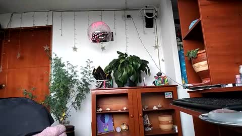 janariivera1 online show from 03-24-26, 04:56